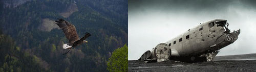 Anspruch und Wirklichkeit?