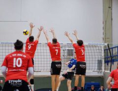 vsv_leipzig